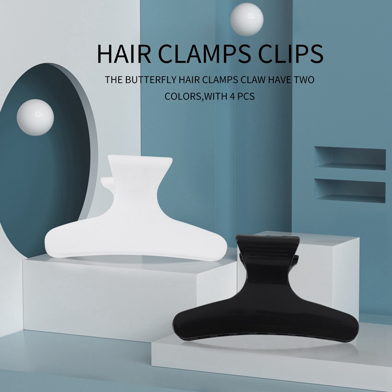 Pinces à cheveux noires et bla - Hair Clips avis et prix