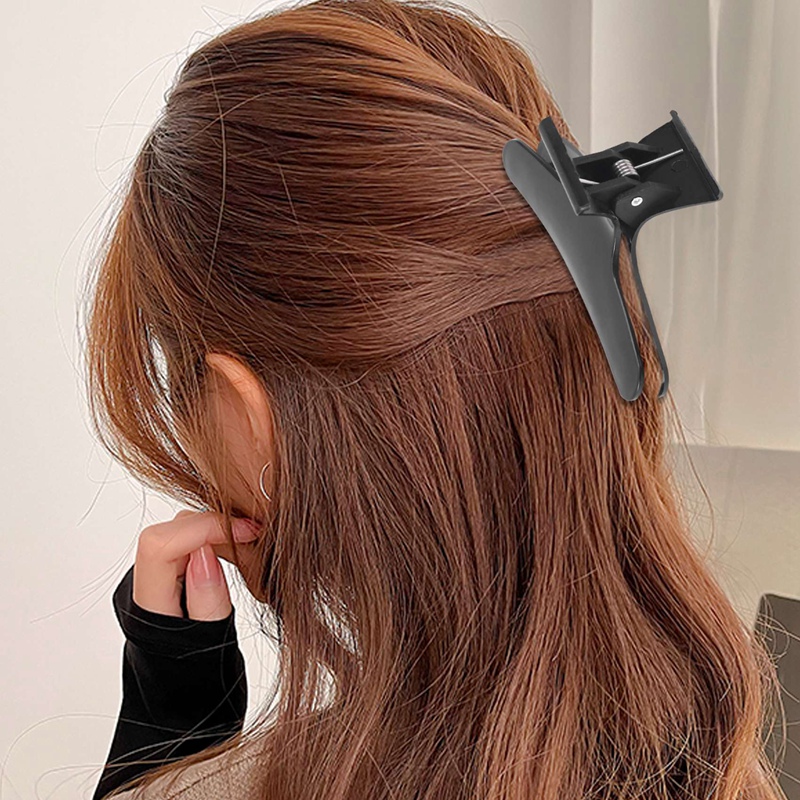 Pinces à cheveux noires et bla - Hair Clips avis et prix